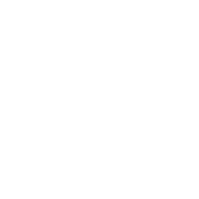Nexus